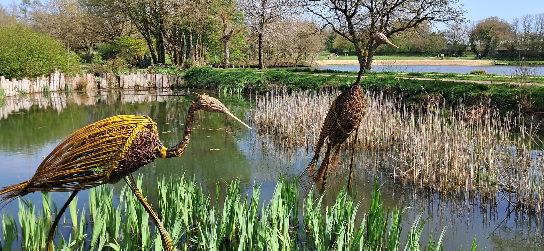 herons