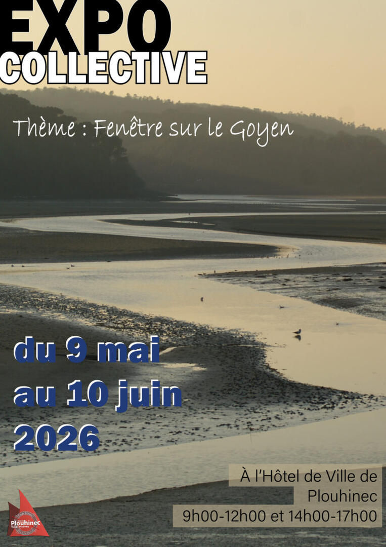 Expo collective mairie Plouhinec