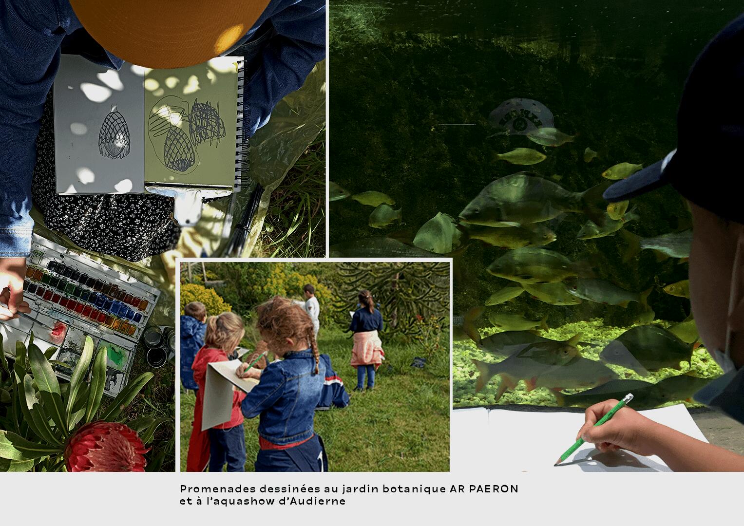 Promenades dessinées au jardin Ar Paeron et à l'Aquashow d'Audierne