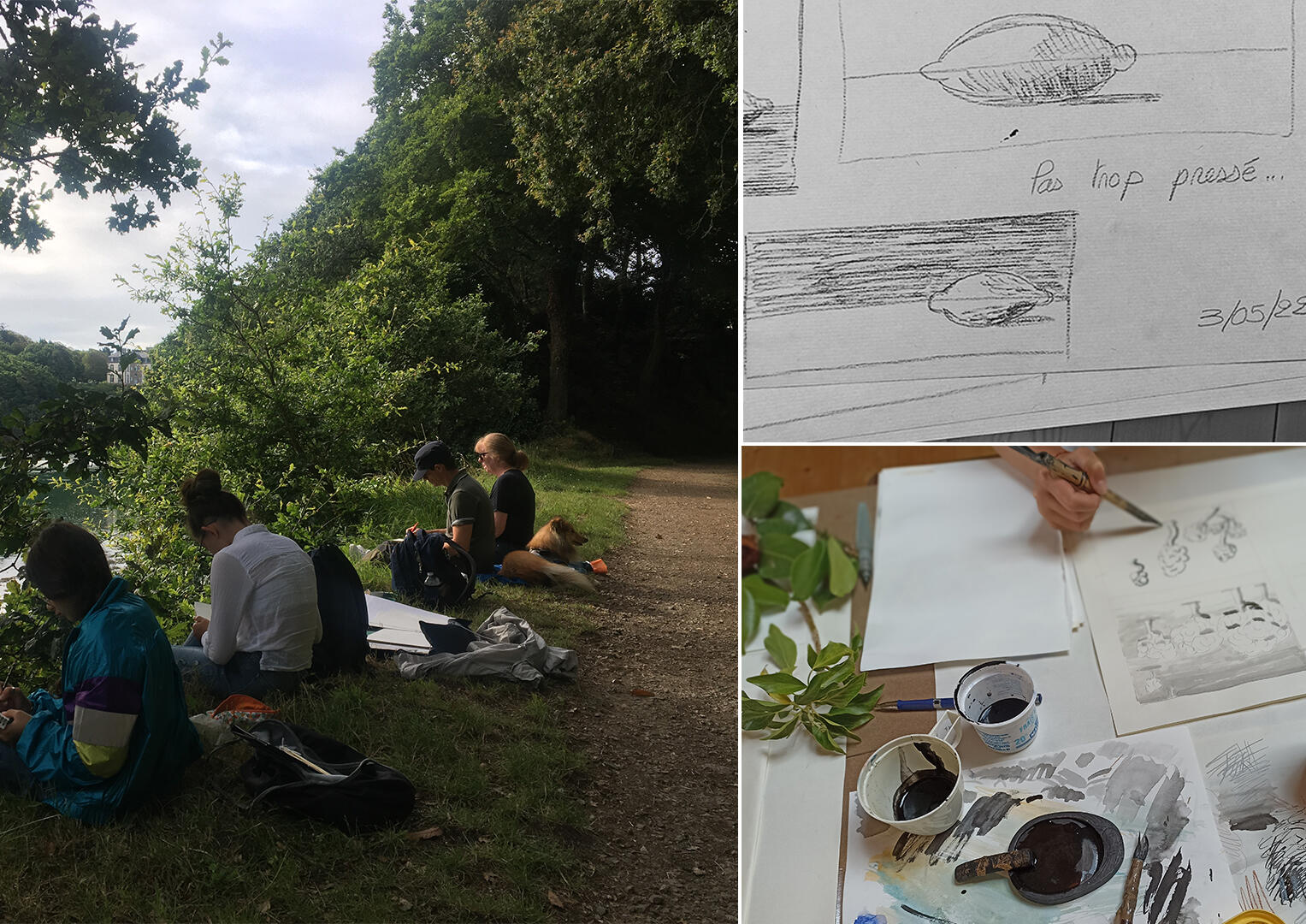 promenades dessinées sur les berges du Goyen