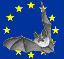 Nuit de la chauve-souris