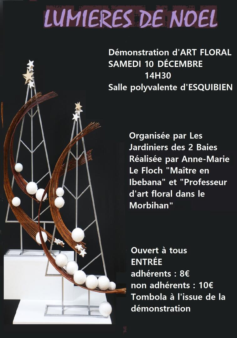 LUMIERES DE NOËL