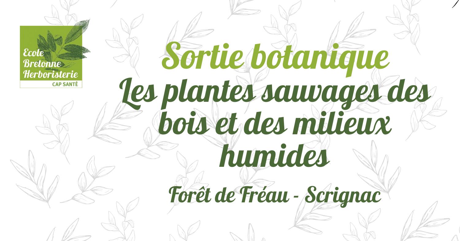22-06-18 Scrignac