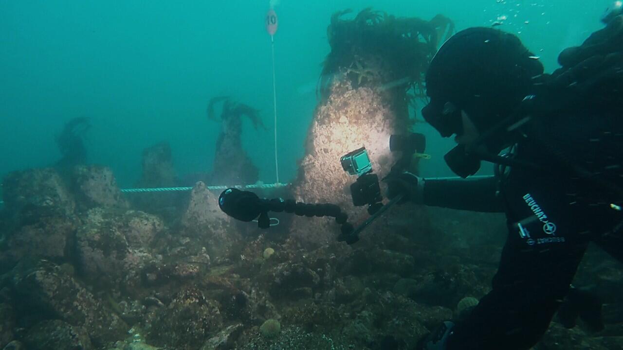 Le chercheur Philippe Bodénès près d’un monolithe planté dans le mur de Toul ar Fot, au large de l’île de Sein (Finistère)