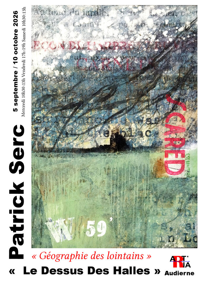Exposition Patrick Serc, Le Dessus des Halles, à Audierne