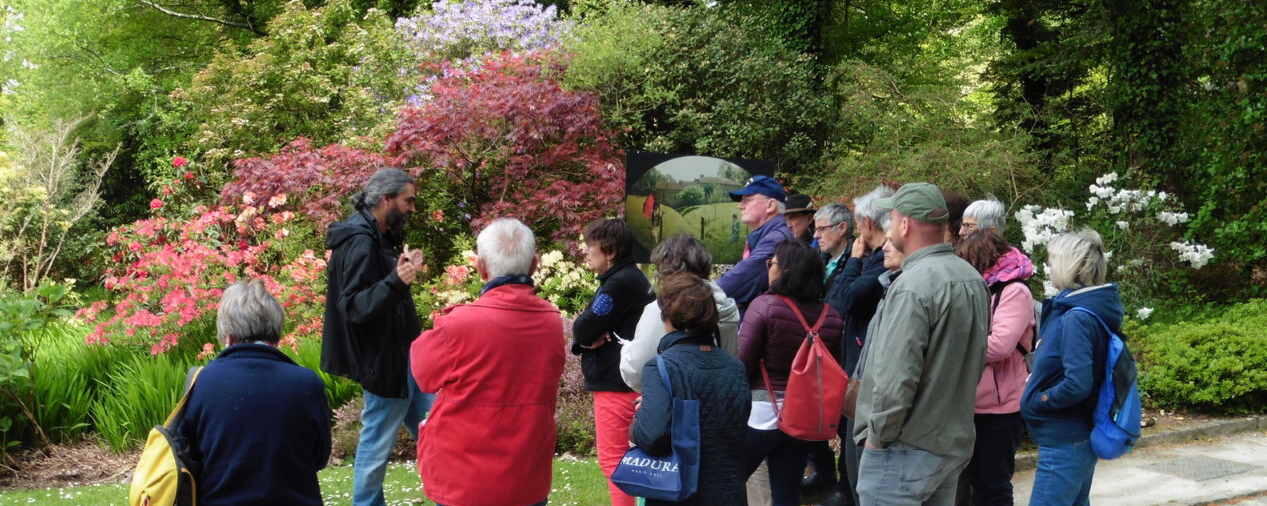 visites botaniques les dimanches rhodo