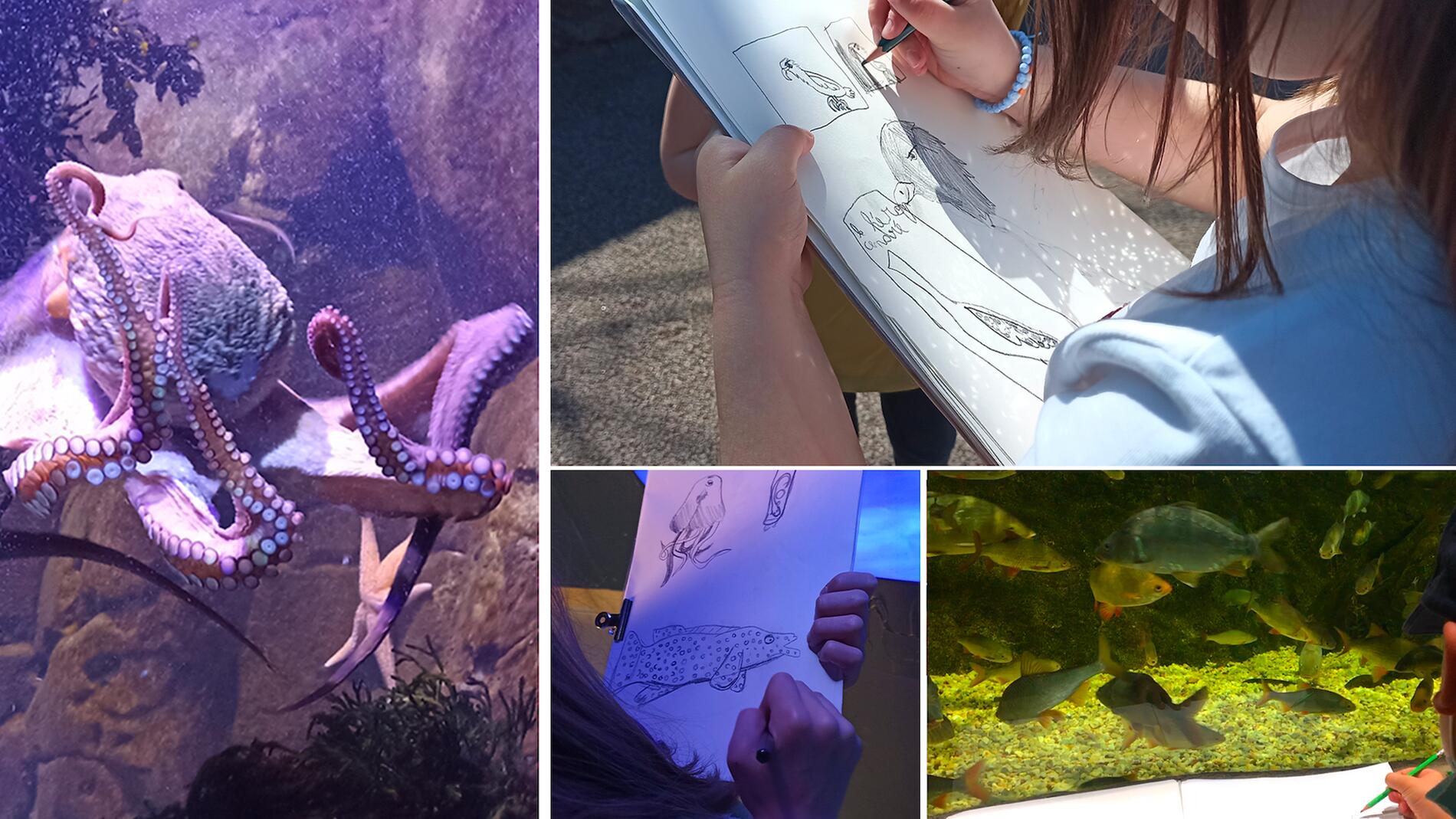 AT AQUASHOW 2026 02 voirvoirdehors.com