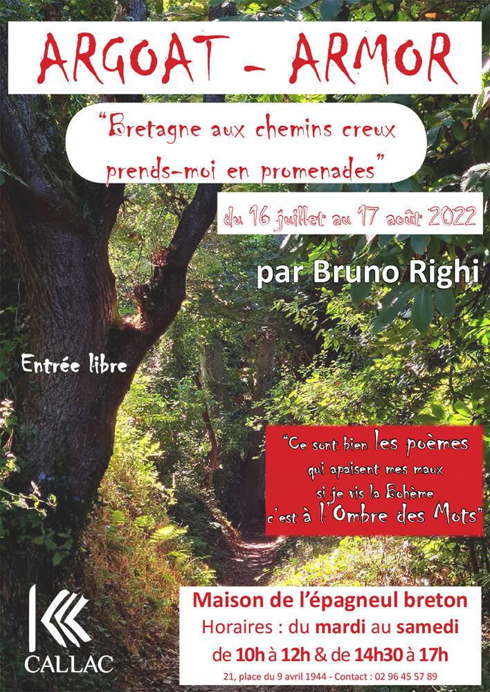 Affiche Exposition Bruno Righi