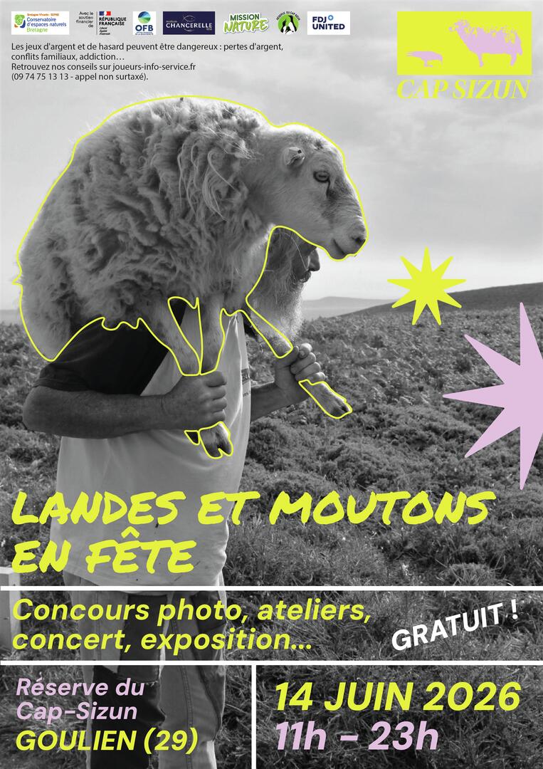 Landes et moutons en fête