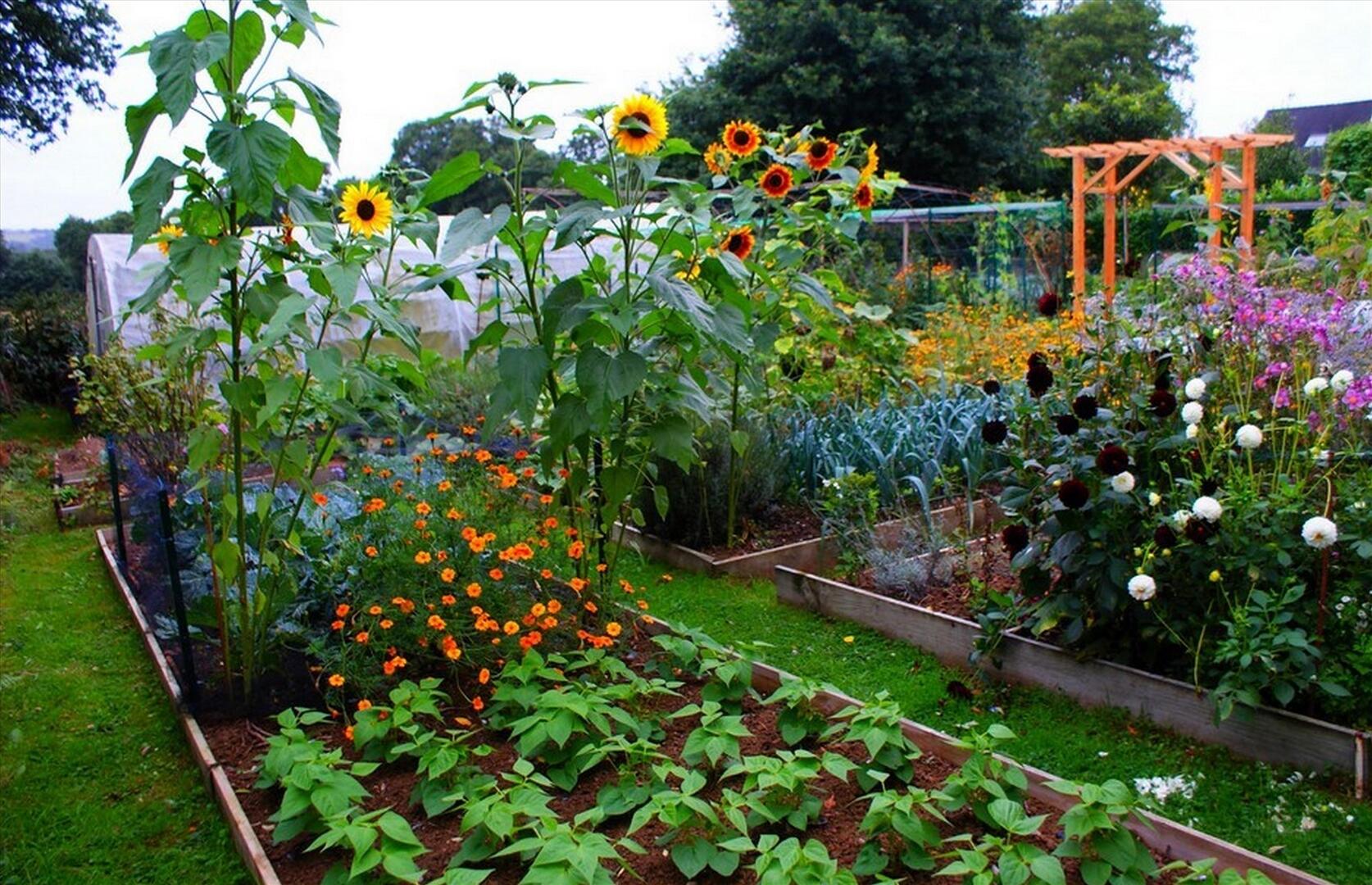 Association "Les Amis du Jardin"