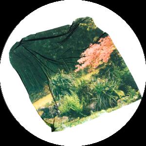 Atelier Transfert Polaroïd-Capsule