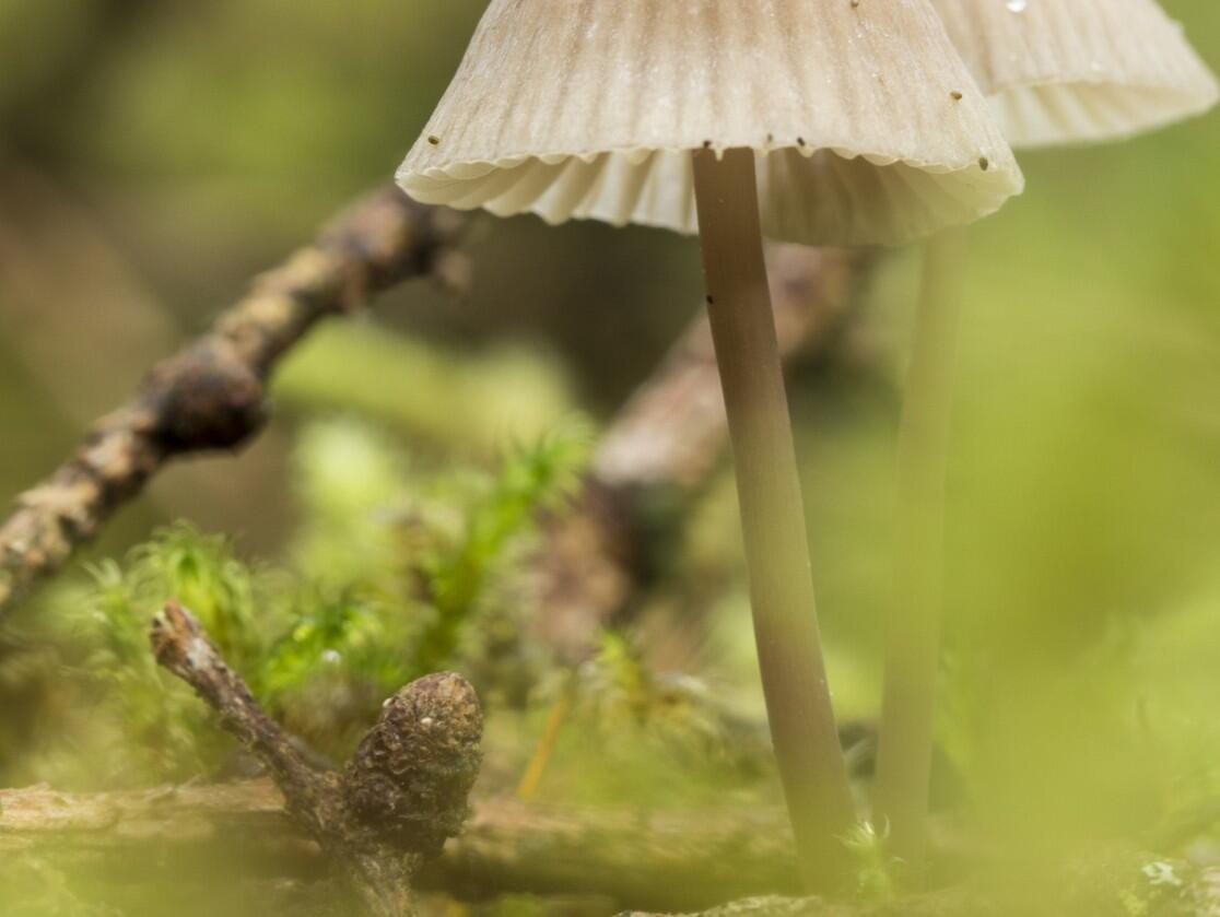 Atelier photo numérique - Photo A l image du cap sizun