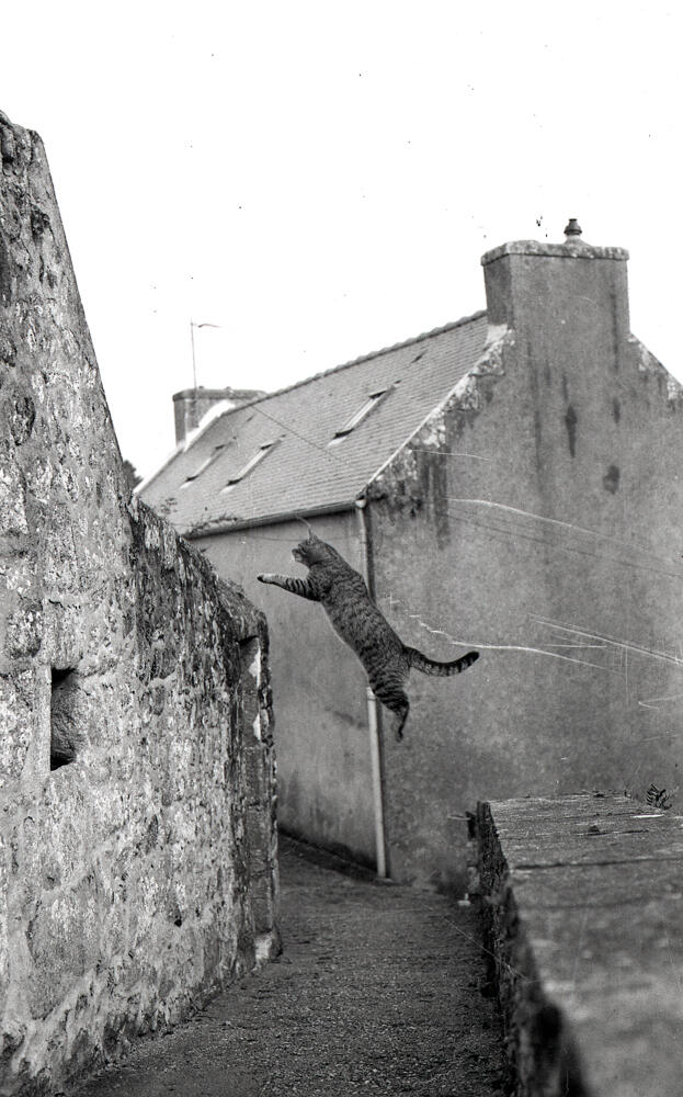 Atelier photo argentique - Photo A l image du cap sizun