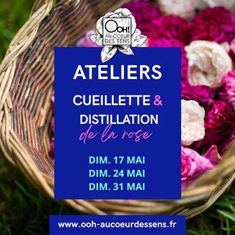 Ateliers Ooh Au coeur des sens