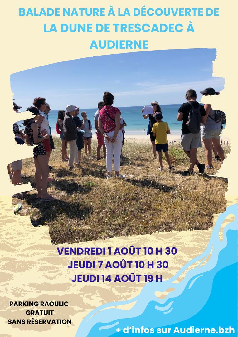 Balade nature à la découverte de la dune de Trescadec à Audierne