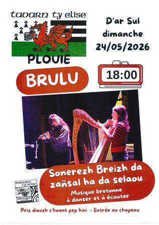 Concert musique bretonne à Plouyé