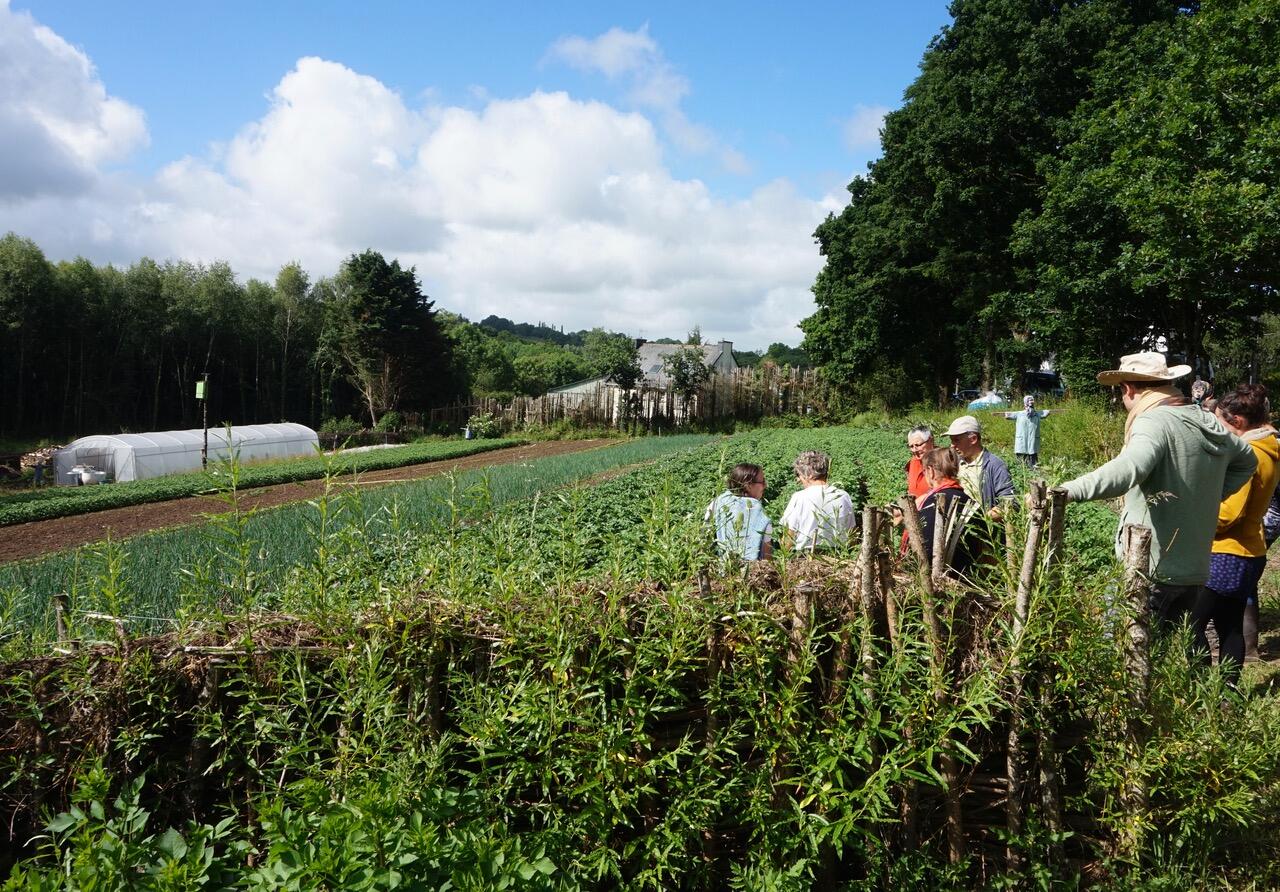 Visite de potager bio