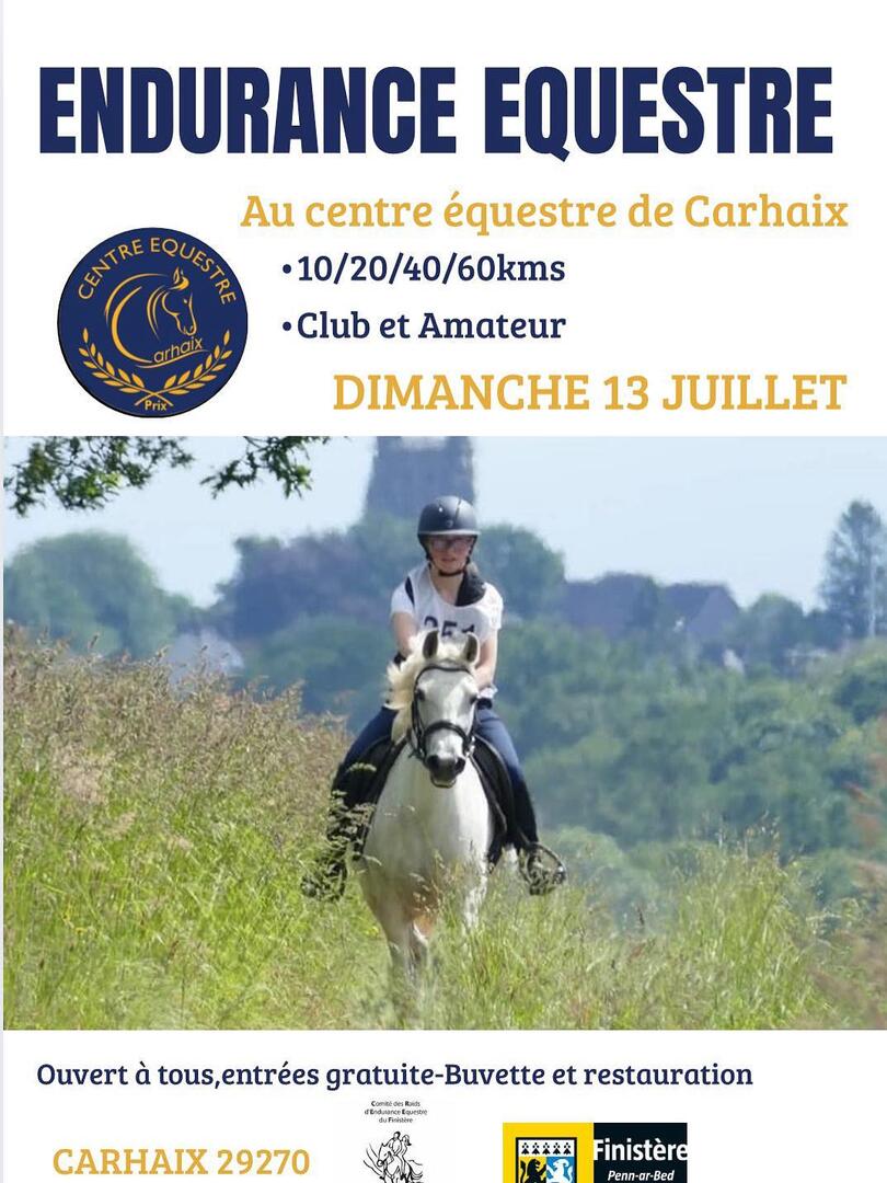 Endurance Equestre