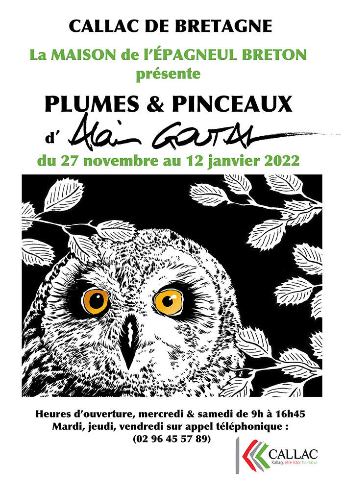 Plumes & Pinceaux