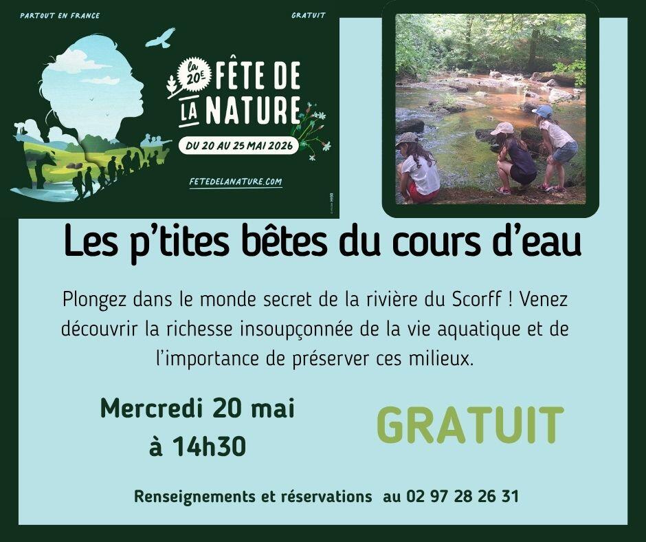 p'tites bêtes