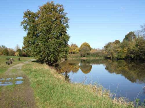 Forêt Domaniale du Mesnil