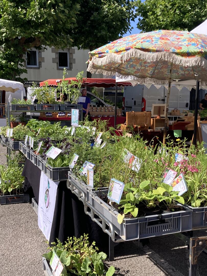 Marché bio, local et musical de Pont-Croix