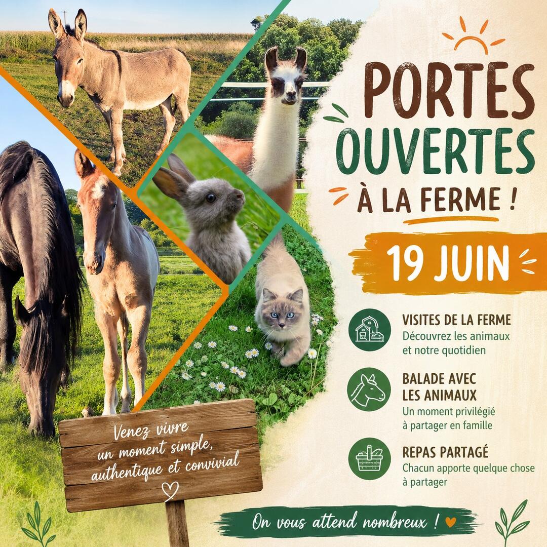 JPO 19/06