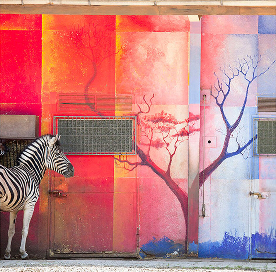 JUL Eric Pillot