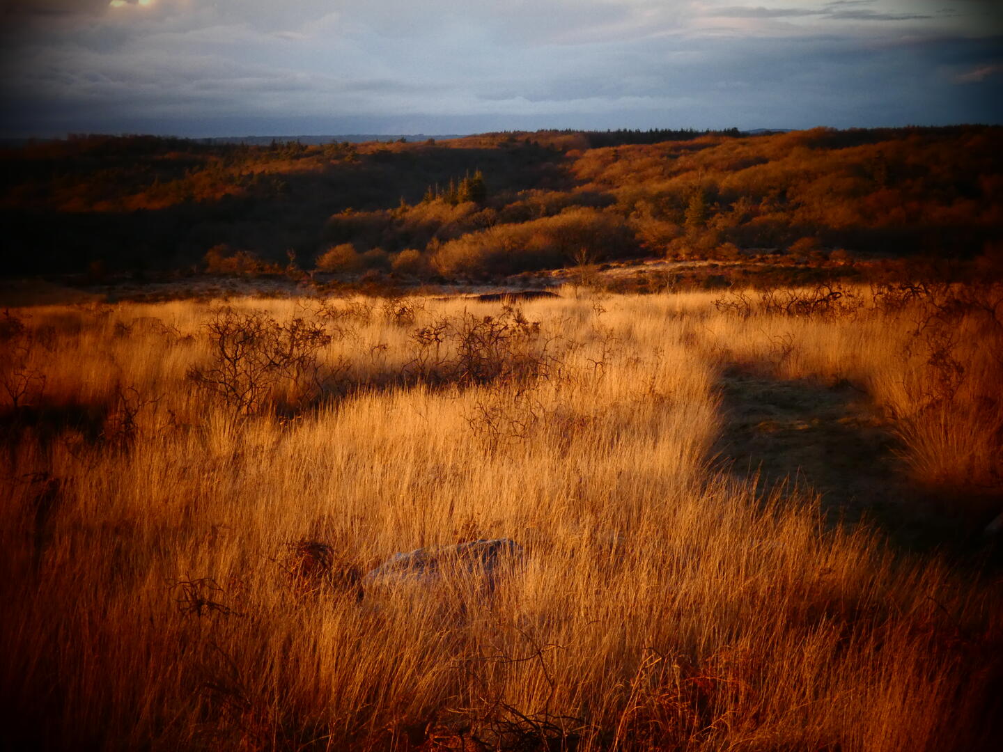 Landecrépuscule