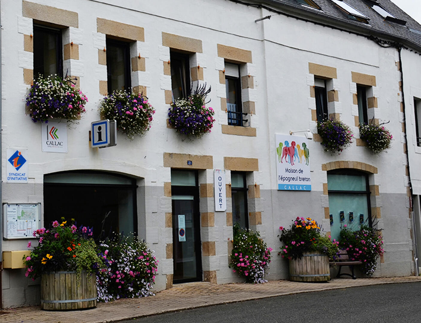 Maison de l'épagneul Breton
