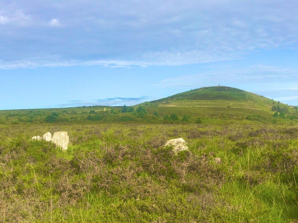 Mont d'Arrée ©Monts d'Arrée Communauté - Céline Kergonnan 2023 (74)