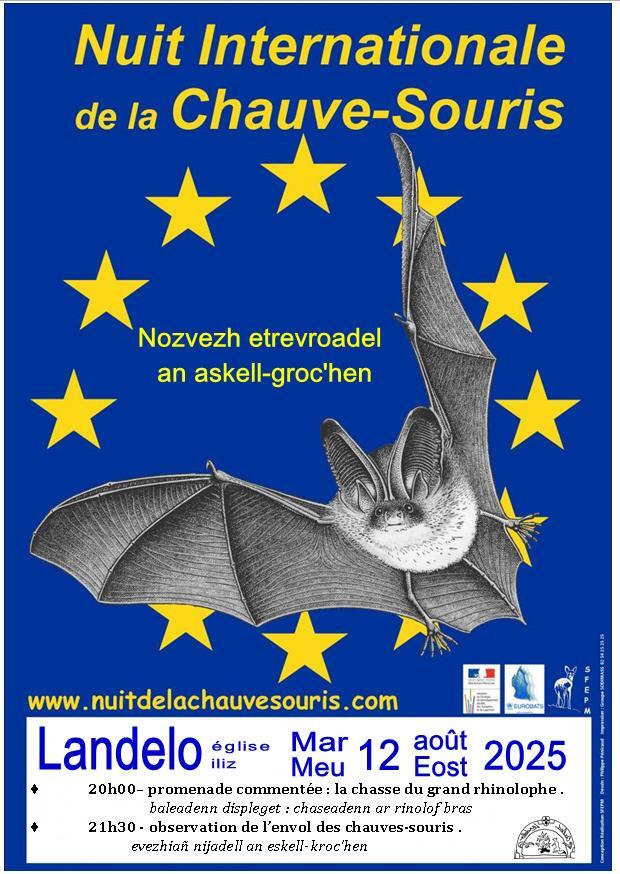 Nuit de la chauve-souris Landeleau 12 août