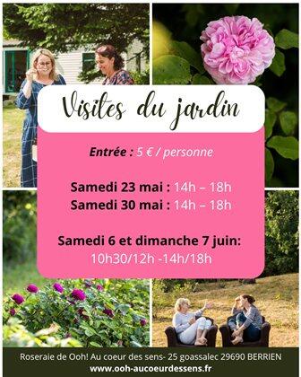 Ooh, Au coeur des sens