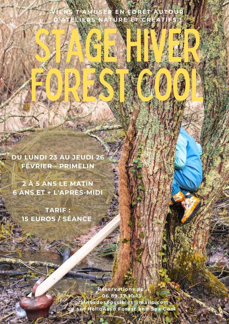 Stage Forest Cool Hiver 2026