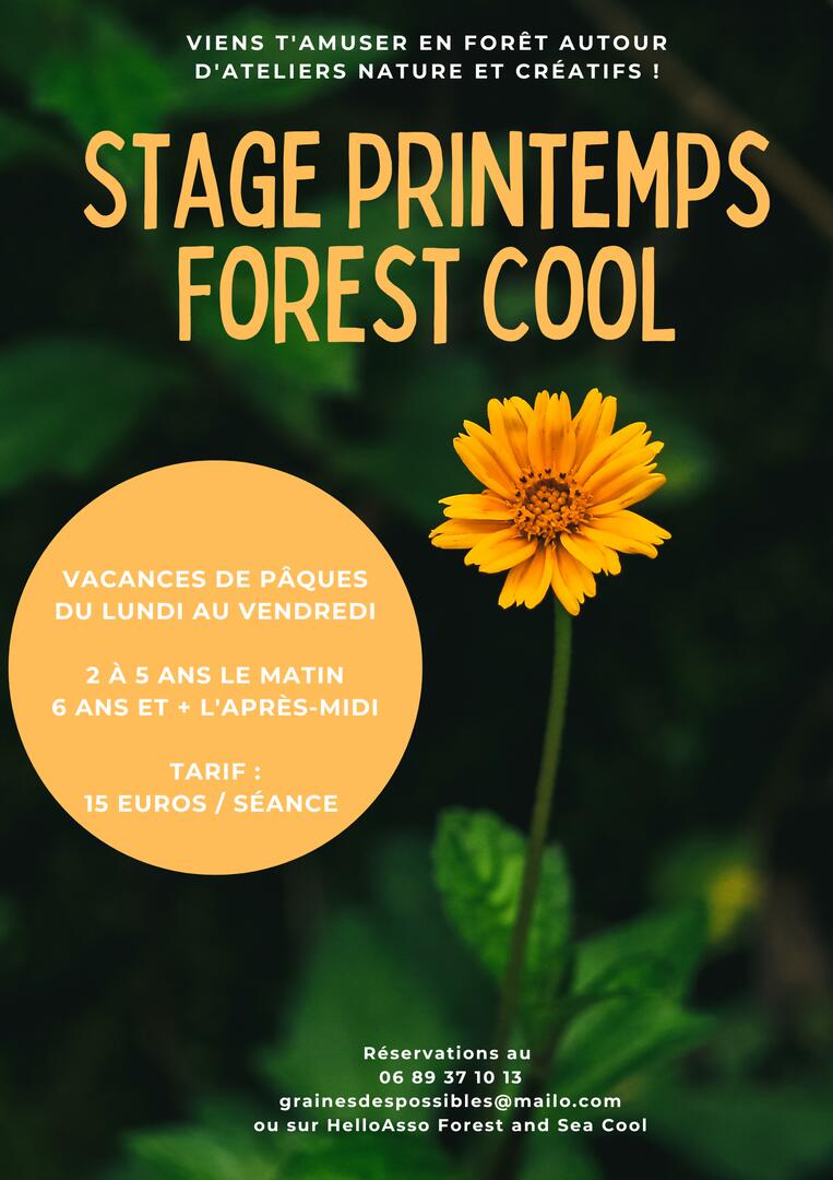 Stage vacances de printemps
