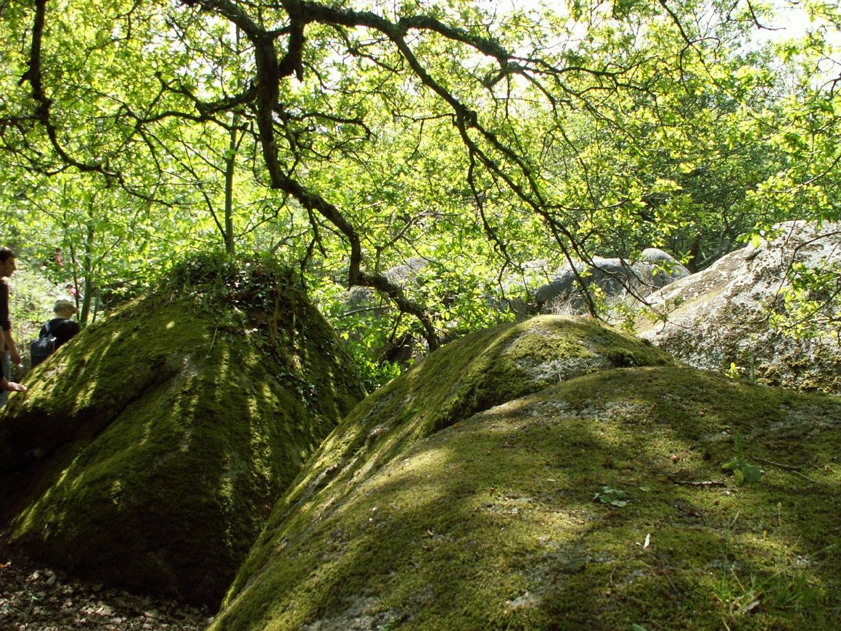 Vallée des Traouïero