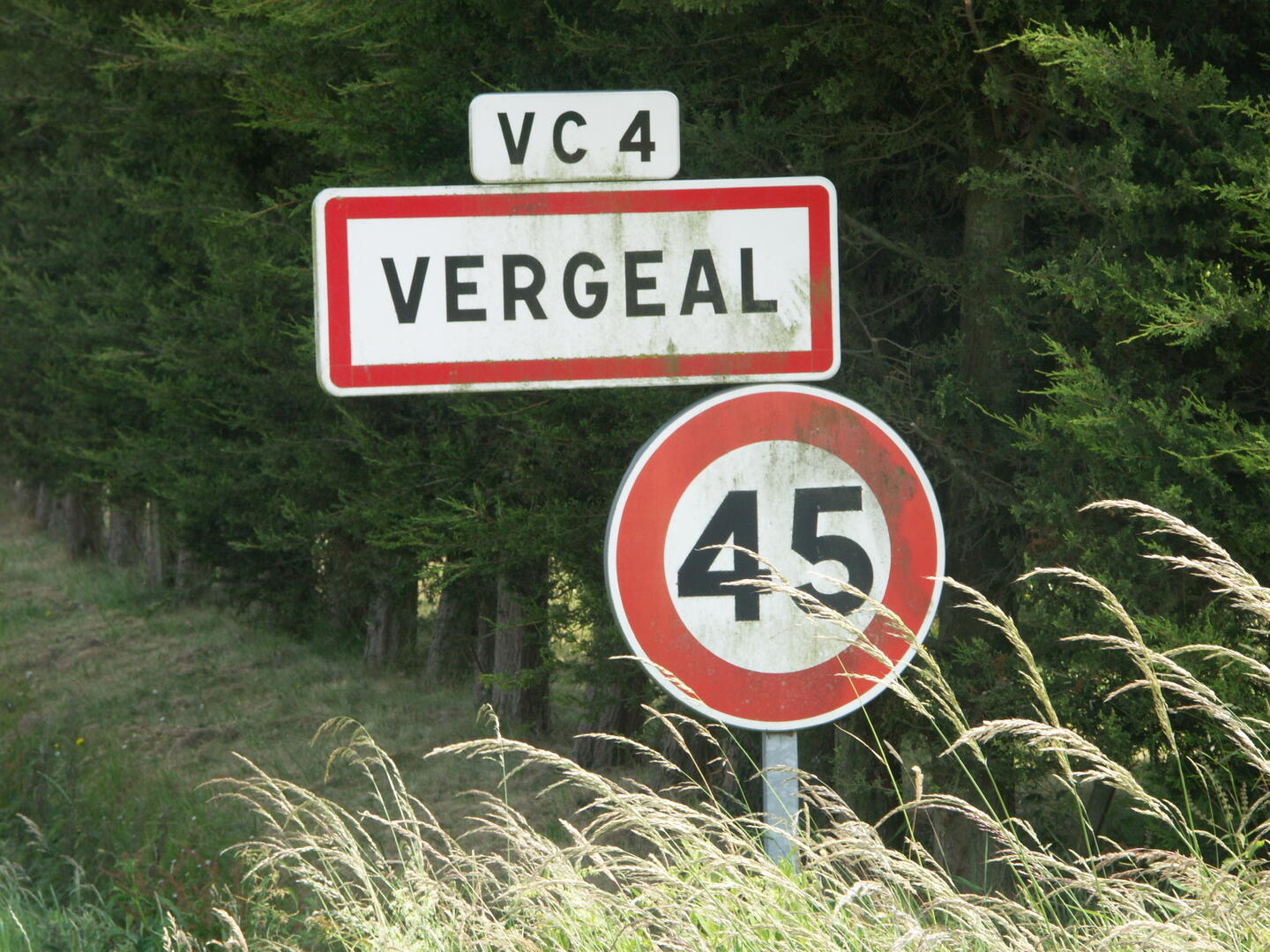 Vergeal 07 2008 (3)