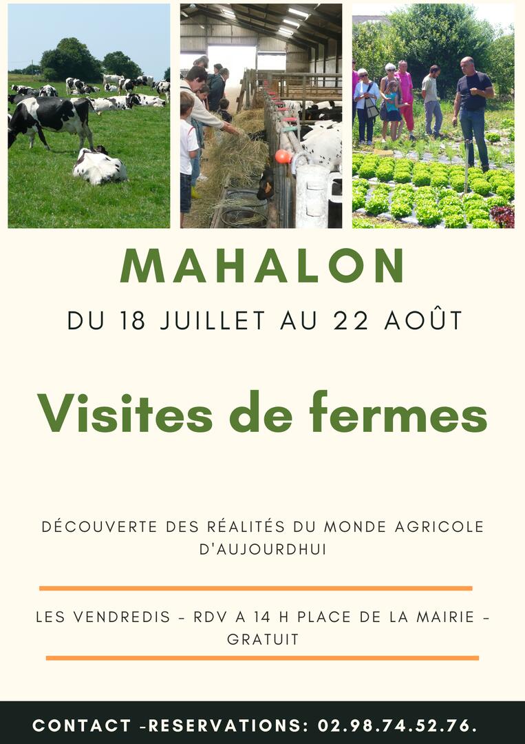 Visite de fermes 1