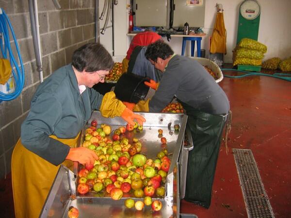Visite de la cidrerie de Tromelin