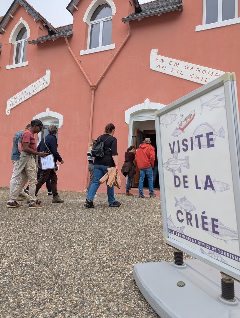 Visite de la criée de Plouhinec