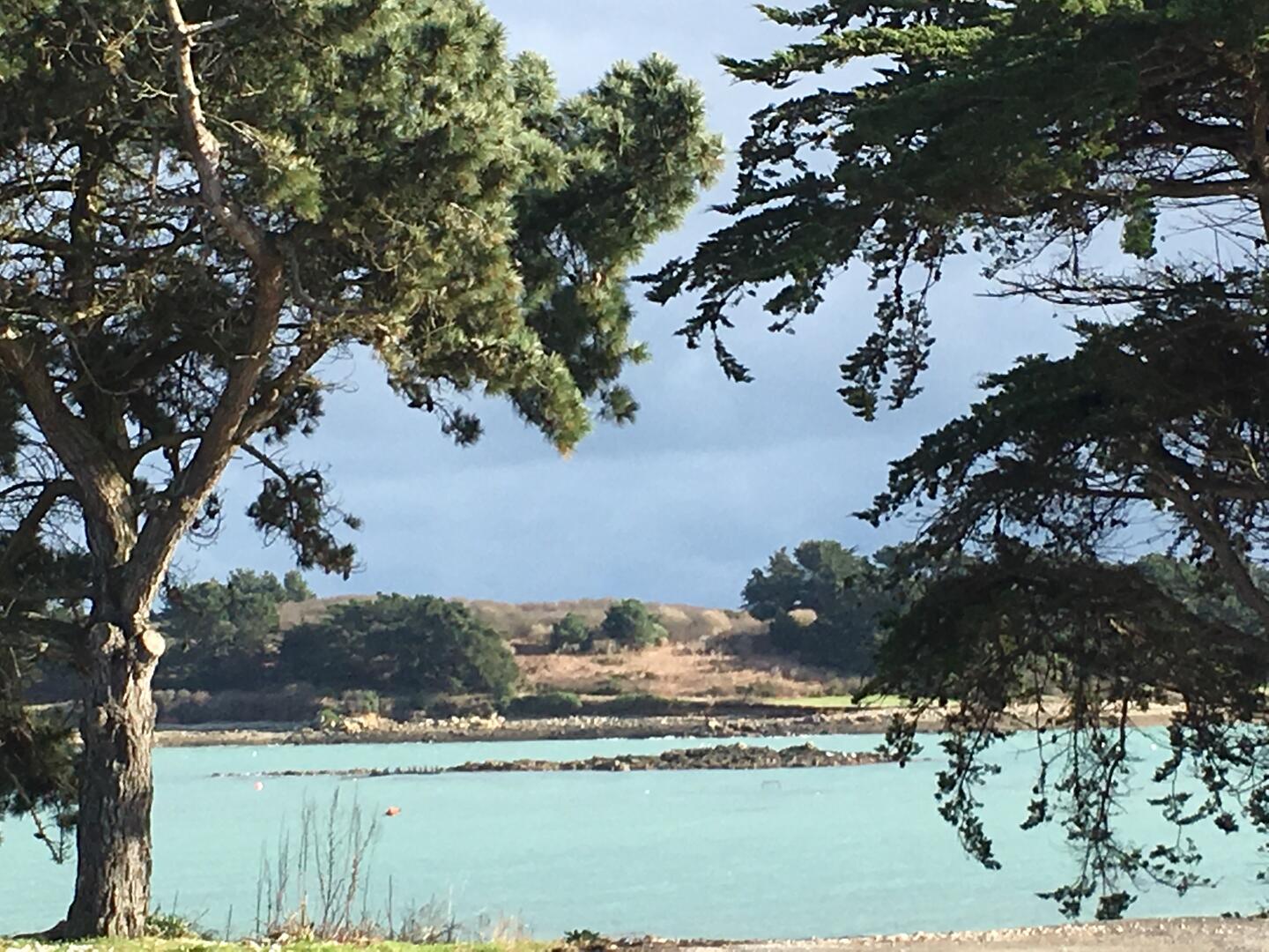Bretagne-huitres 2019-1