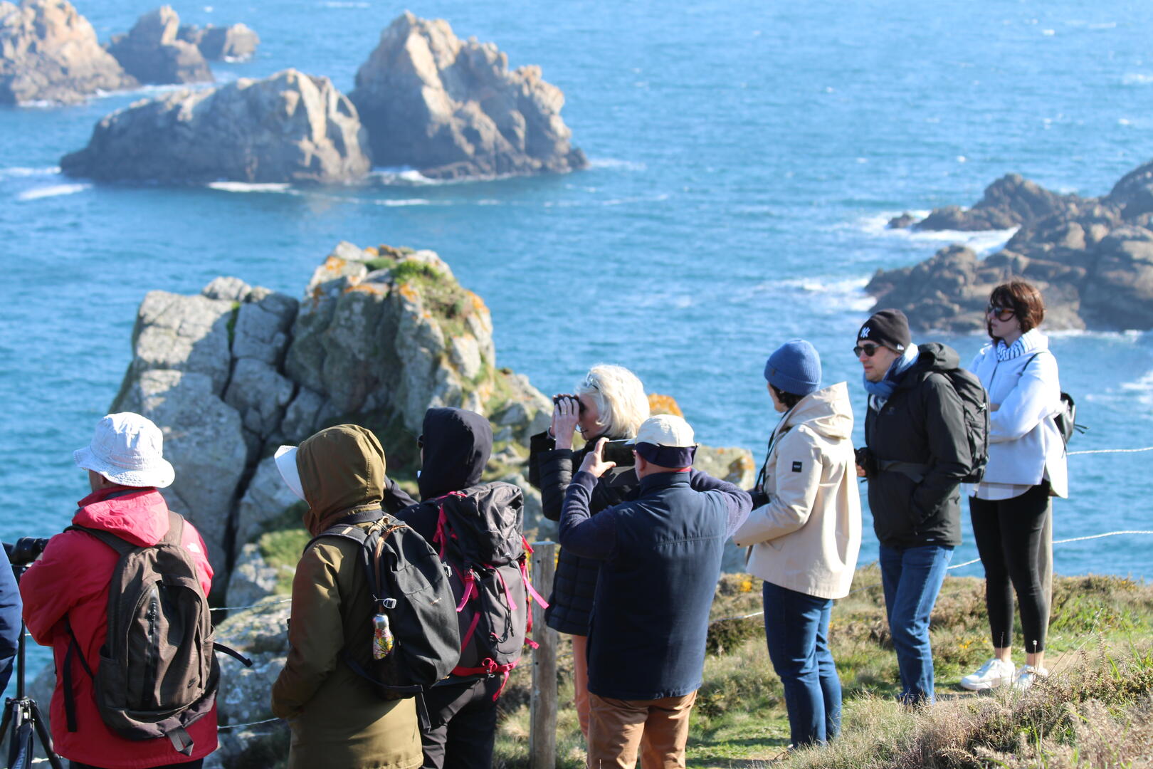 Réserve du Cap-Sizun à Goulien