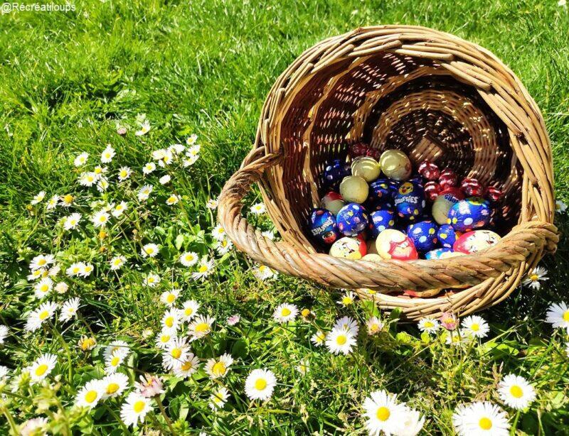 chasse aux oeufs