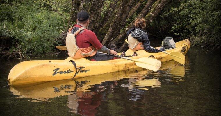 Kayak