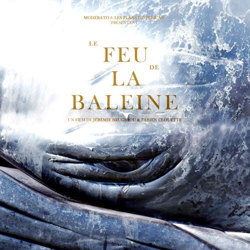 feu de la baleine