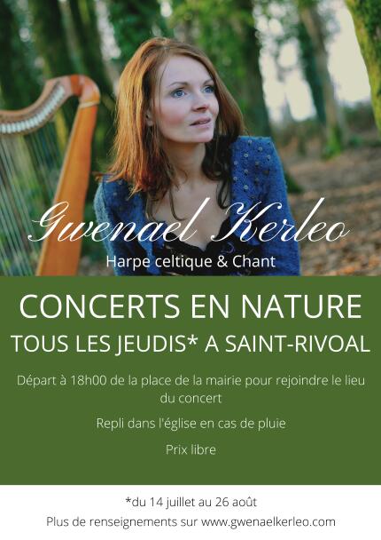 flyer concerts