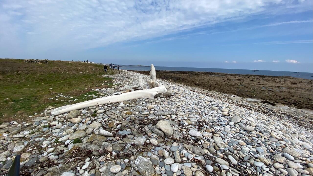 ile de Sein