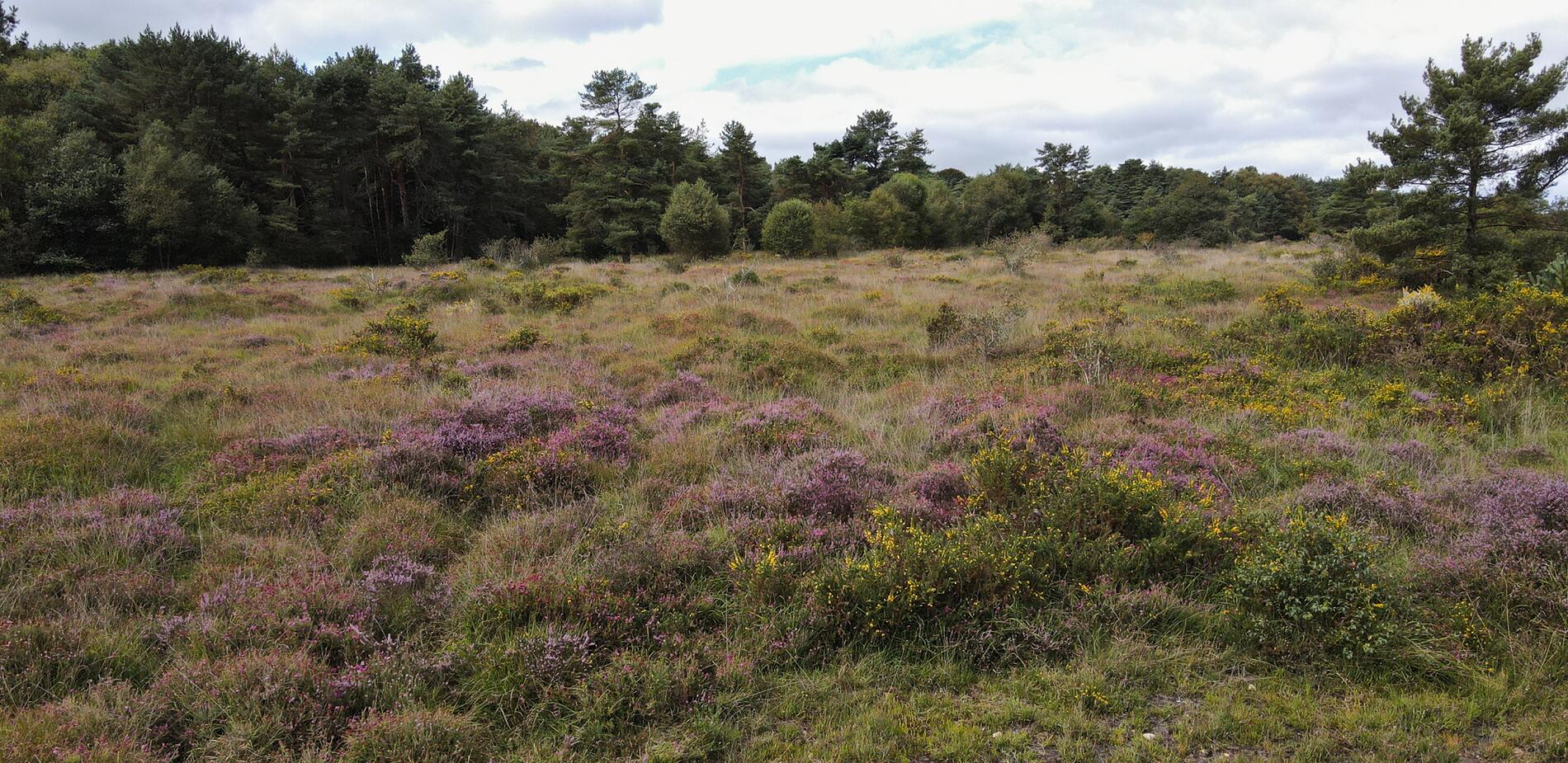 Landes de Lan Bern