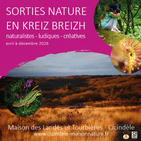 Sorties Nature en Kreiz Breizh