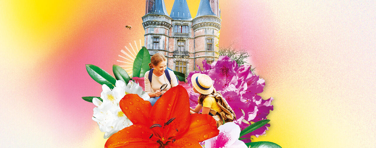 Saison Botanique: Les Rhodos